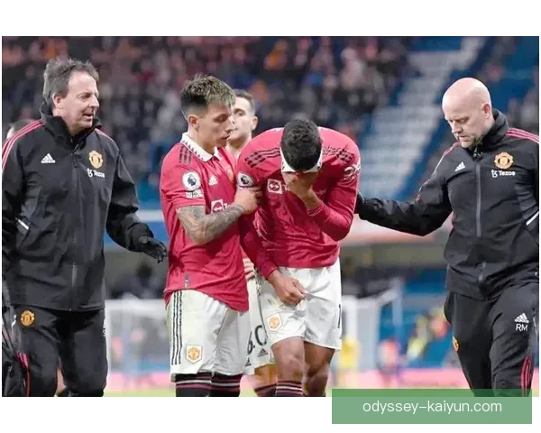 法国队最新伤病名单更新，多名主力球员伤情成疑